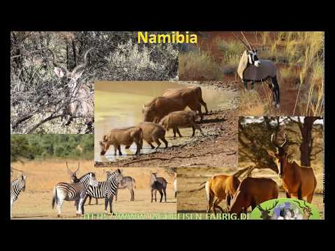 Episode3 Hunting destination Namibia (english)