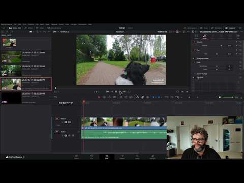 Piero tutorial video