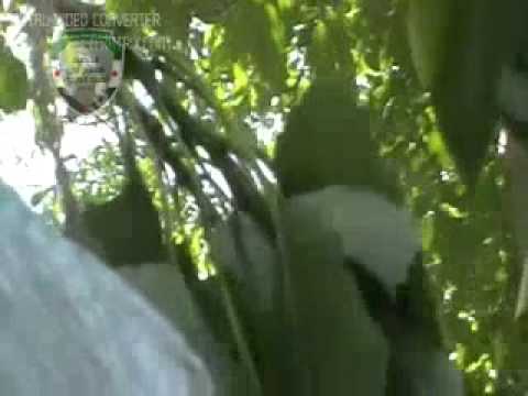 استهداف كتيبة جند الحق بقذيفة بي 82 عربة بي إم بي لقوات النظام على جبهة الفوج 81 في بلدة المليحة في ريف دمشق