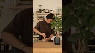 お家で抹茶ラテ🍵