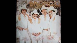 BRONCO-Pilar De Cantina
