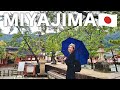 HIROSHIMA Why Should You Go To Miyajima On A Rainy Day Japan Travel Vlog