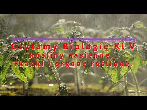 Czytamy - Biologia Klasa 5 Rośliny nasienne. Tkanki i organy roślinne