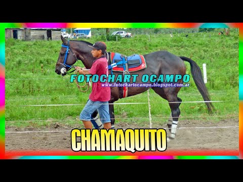 CHAMAQUITO - La Leonesa - Chaco 10/03/2024