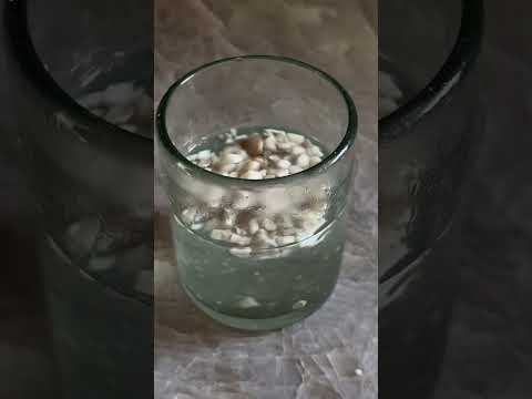 How to Make Ceremonial Mushroom Tea