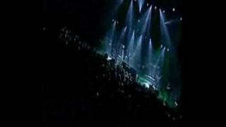 Delight &quot;The Fading Tale&quot;