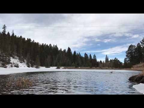 Timelapse at Cabin 03-12-17