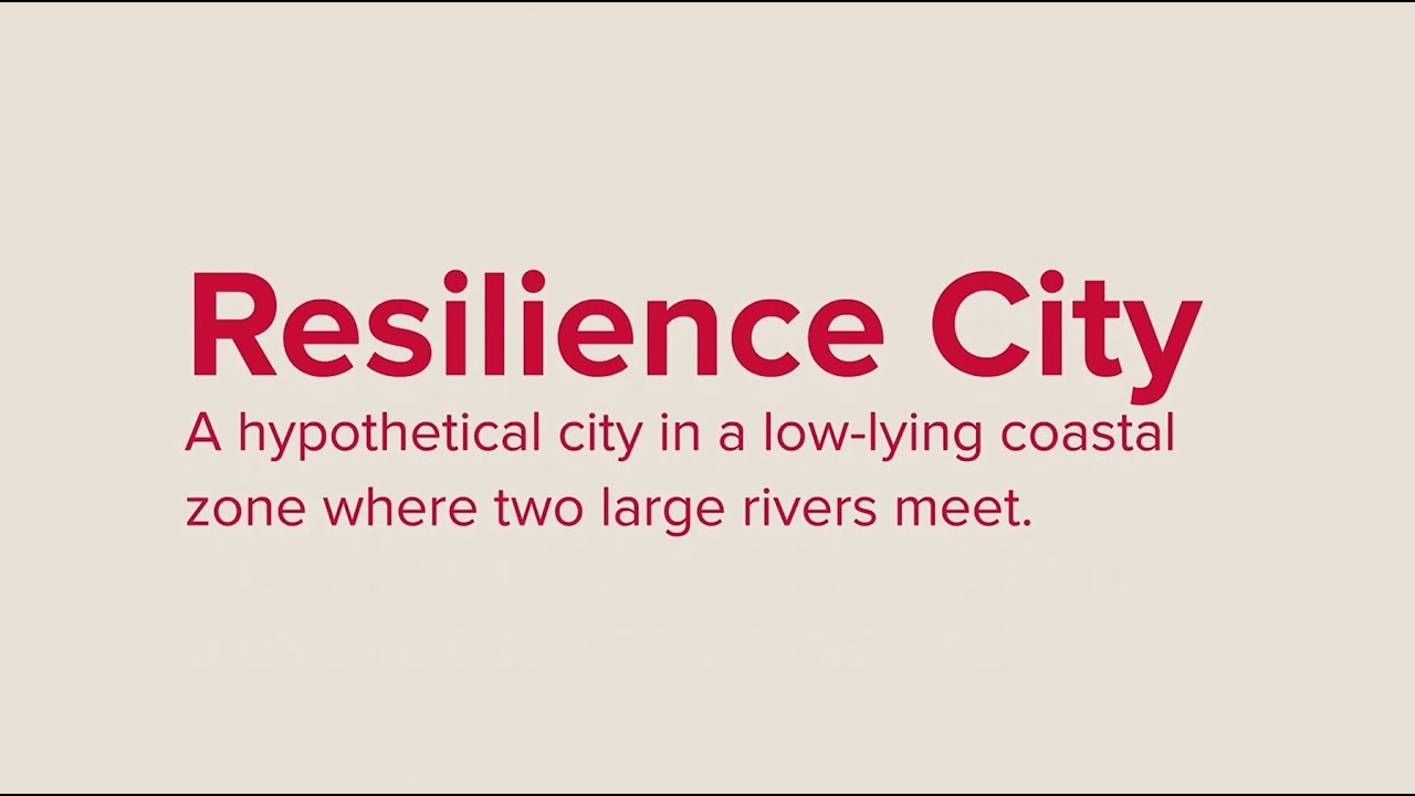 Resilience City