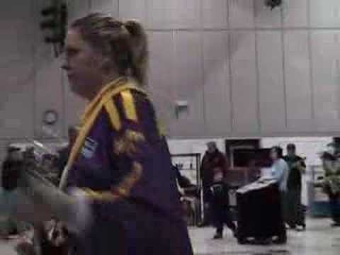 Irish American String Band 2008 Preview