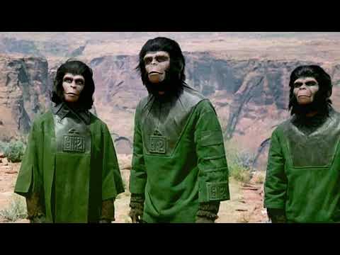 Tantsui - Planet Of The Apes (M.A.N.D.Y. Remix)