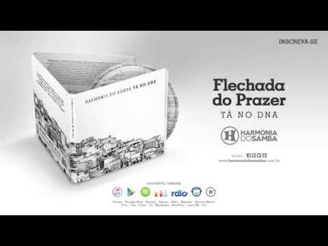 Flechada Do Prazer video