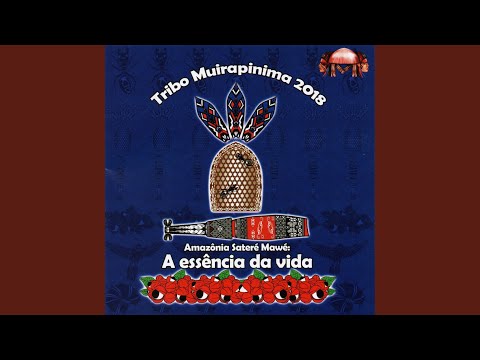 Amazônia Saterê - mawé: A Essência Da Vida…