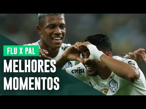 MELHORES MOMENTOS | FLUMINENSE 1 X 1 PALMEIRAS | BRASILEIRO 2022
