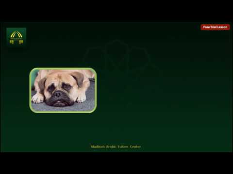 Learn Arabic By Examples: Episode 2 - Vocabulary of lesson 1