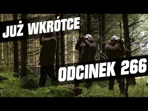 Darz Bór zapowiedź odcinka 266