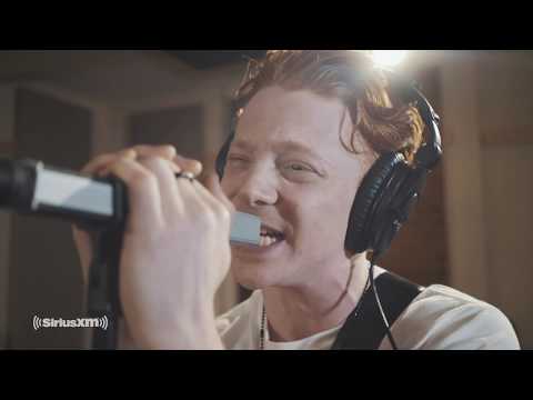 Birds of Bellwoods - Melatonin