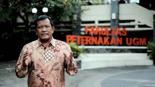 Download lagu Profil Fakultas Peternakan UGM 2021 mp3
