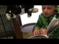 Lucas And Sesame Tales For Tails