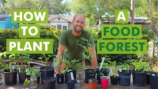 How to Plant the Food Forest Starter Bundle