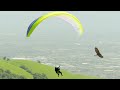 Paragliding Alongside Eagles Natural World Super Powered Eagles BBC Earth