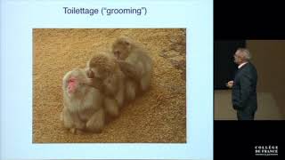 Communication, Empathie et Evolution