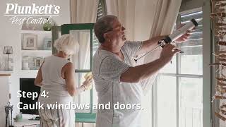 Plunkett&#39;s Pest Control | How to Get Rid of Boxelder Bugs