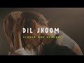 Dil Jhoom Slowed Reverb Arijit Singh Lofi Version
