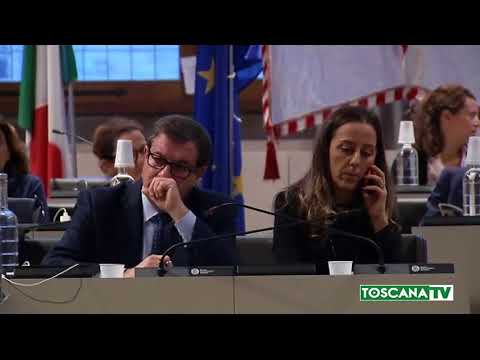 2017-11-06 FIRENZE - LAVORI TRAMVIA OGGI IN CONSIGLIO COMUNALE