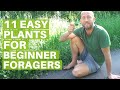 11 Easy Edible Plants for Beginner Foragers- Eating Wild Food