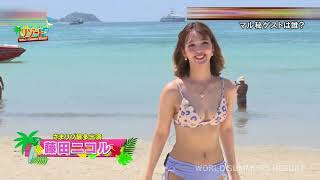 藤田ニコルのビキニスタイルは最高で最強