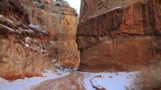 preview picture of video 'Capitol Reef National Park Explorations'