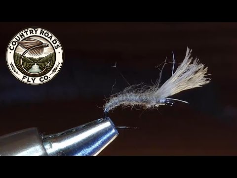 Mole Fly