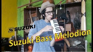 Video thumbnail for Bass melodion B-24 - What a Wonderful World by Melodica Gallery