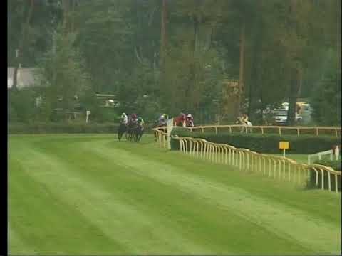 LL, 23. 9. 2017, 2. dostih - HANDICAP SPOLEČNOSTI PRAGIS