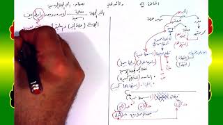 صورة 56 √ الخبر الجملة الاسمية