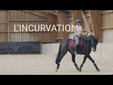 TUTO EQUITATION #1🐴 - L'incurvation