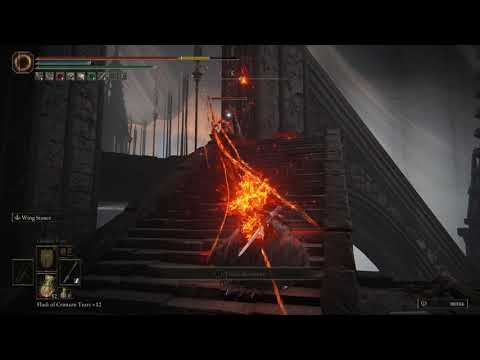 How to Go Up in Specimen Storehouse | Elden Ring