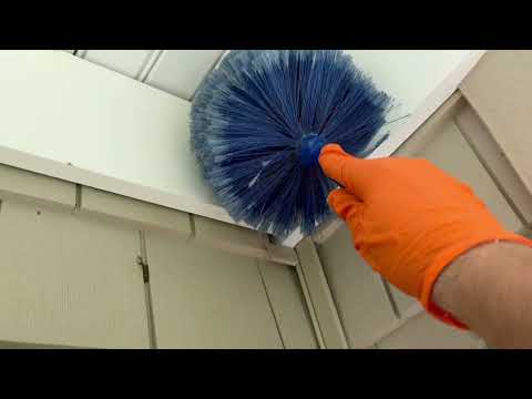 A Lot of Spider Webs on the Front of Home in Warren, NJ