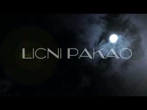 Pnr exe - Oprosti 2019 Lyrics Video