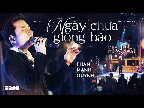 Ngày Chưa Giông Bão - Phan Mạnh Quỳnh | Live at Soul of The Forest