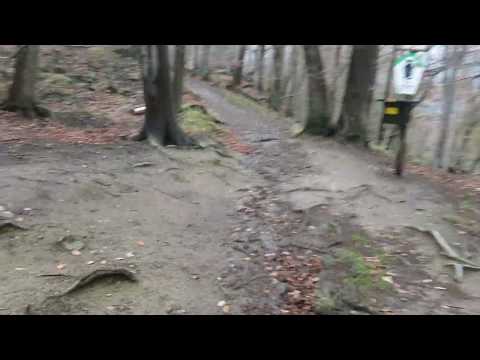 Stempelstelle 70 Prinzensicht - Harzer Wandernadel