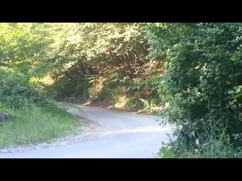 rally di modena 2014