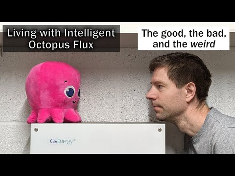 Living with Intelligent Octopus Flux - the good, the bad, and the weird