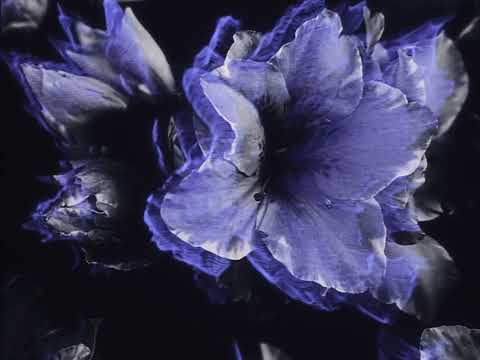 IMANU - Outro (Visualizer)