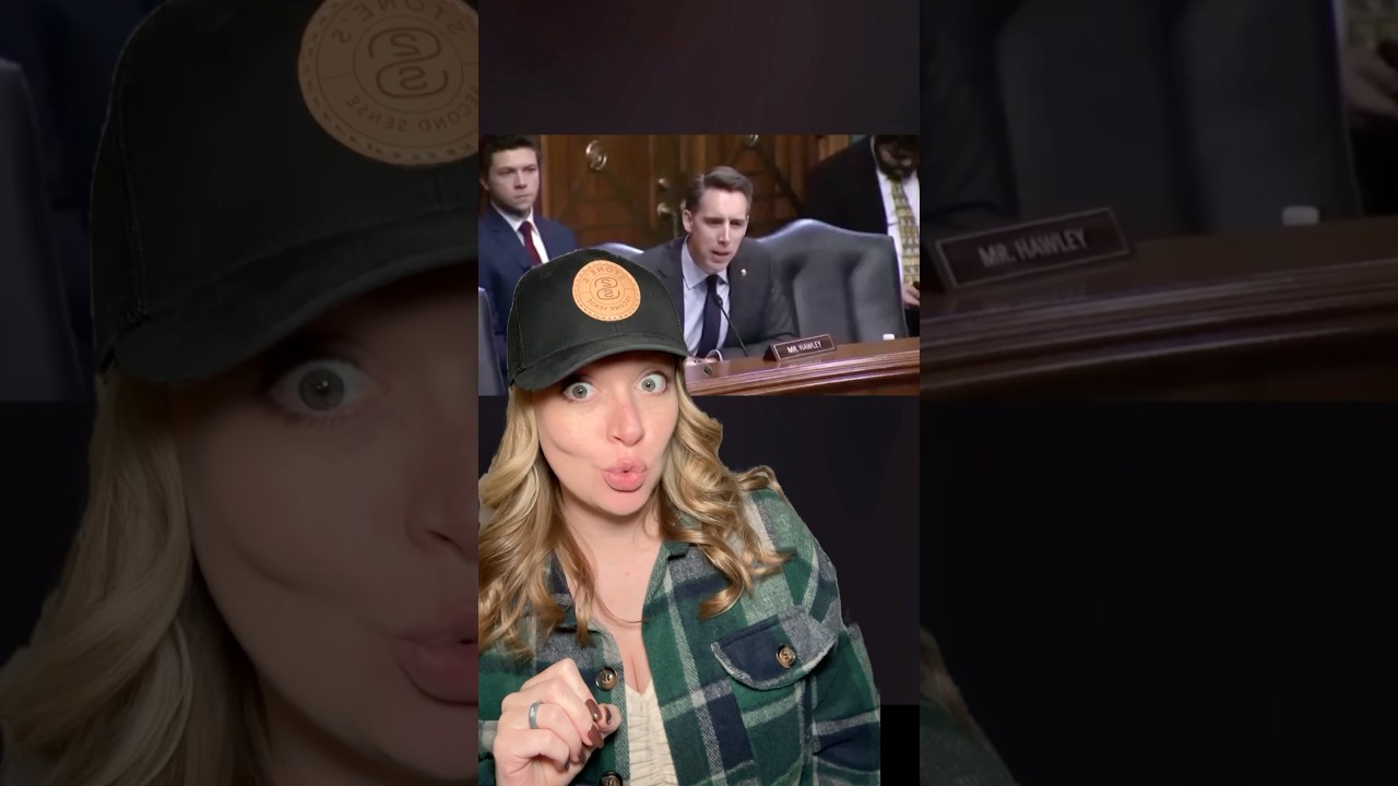 Anti-2A Judge Gets Destroyed By Hawley! #2ndamendment #shortsvideo #shortsfeed #shorts