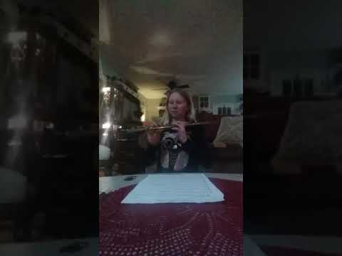 The song first holiday concert on the flute