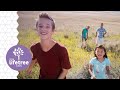 All Around The World Weird Animals VBS Group Publishing