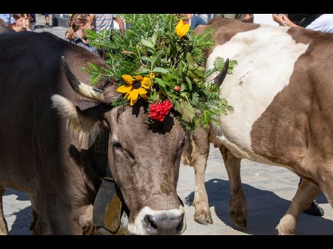 Gstaad Züglete «abgspäckt»