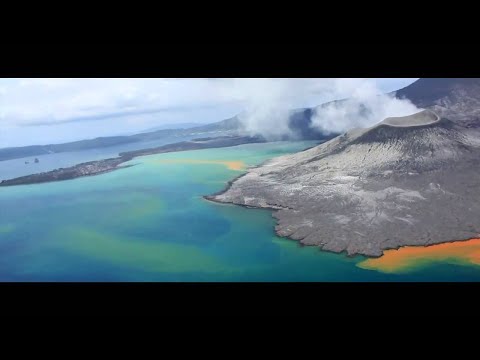 Wise Hand - Timeless