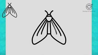 Learn How to draw moth easy for beginners easy drawing cute moth Step by step moth drawing tutorial
